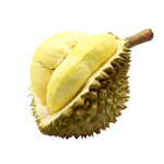 Durian
